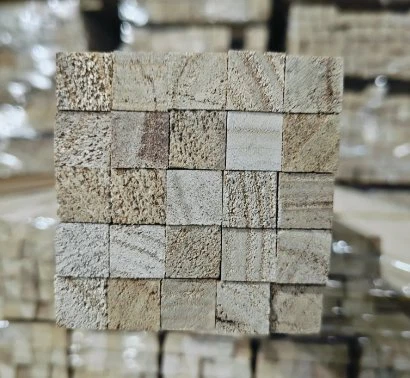 Paulownia square ntoo