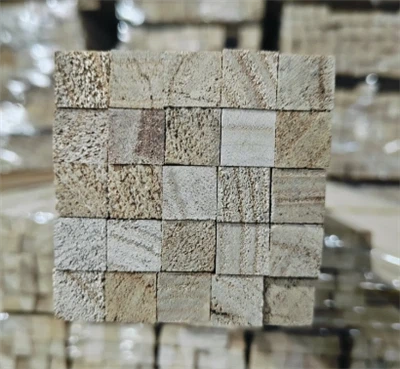 Paulownia square ntoo